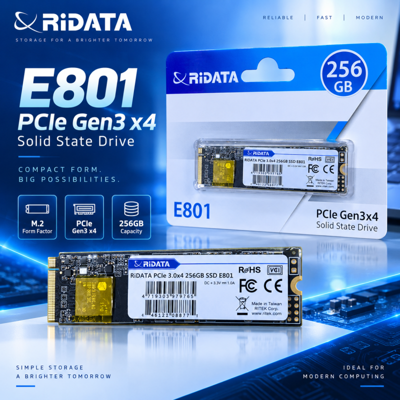 RiDATA E801 256GB PCIe Gen3x4 NVMe M.2 SSD Internal Storage